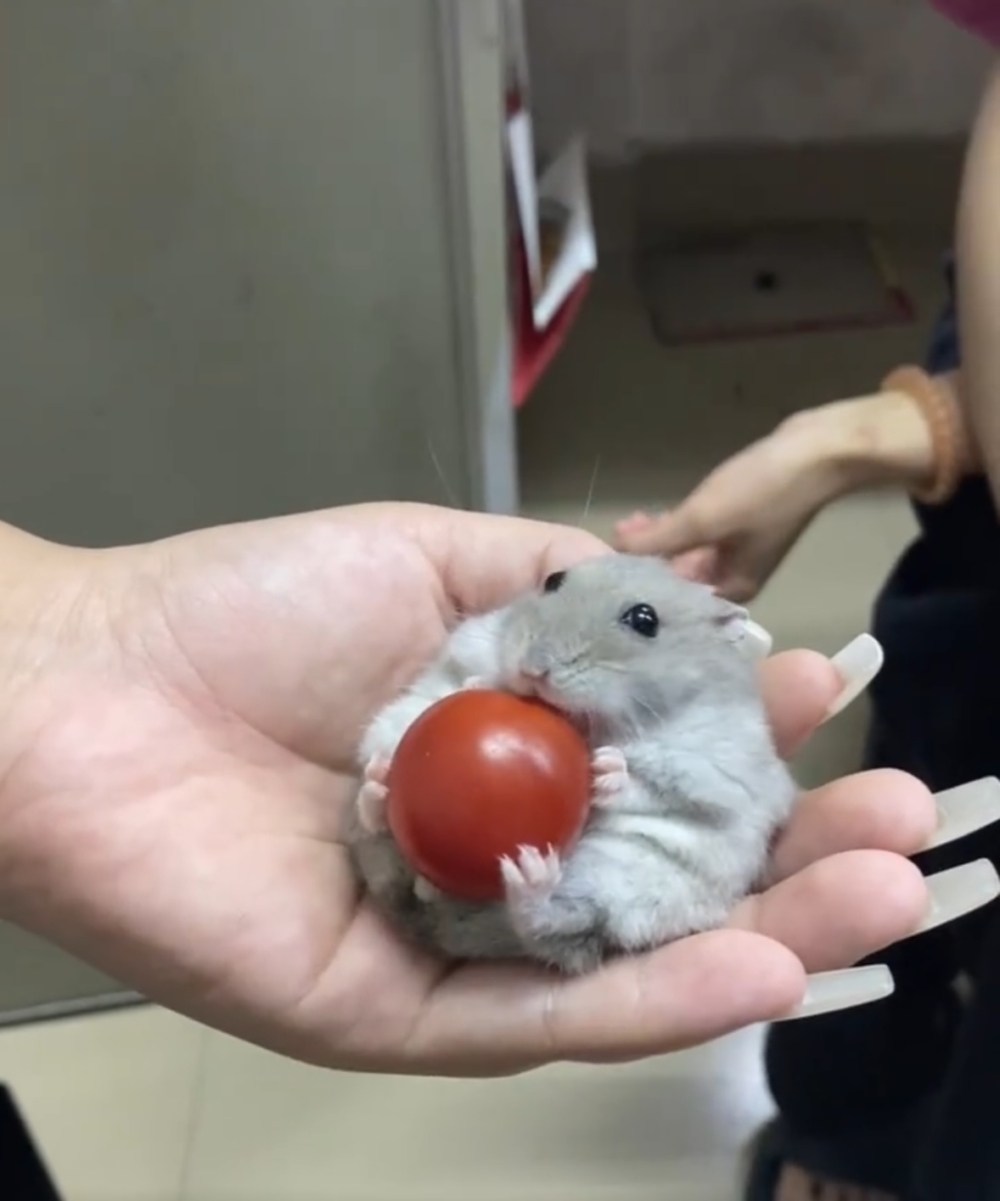 奴才：你好無聊喔