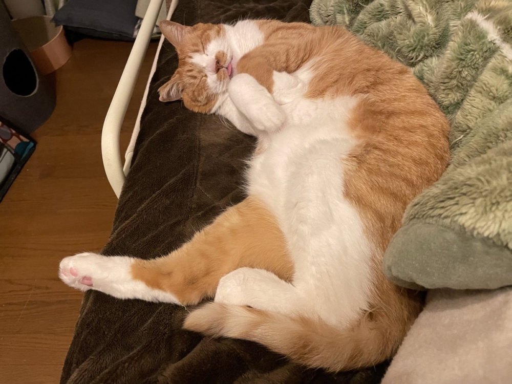 奴才：額...沒那麼嚴重啦