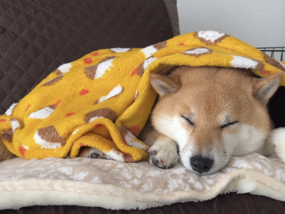 奴才：你別想像力那麼豐富啊