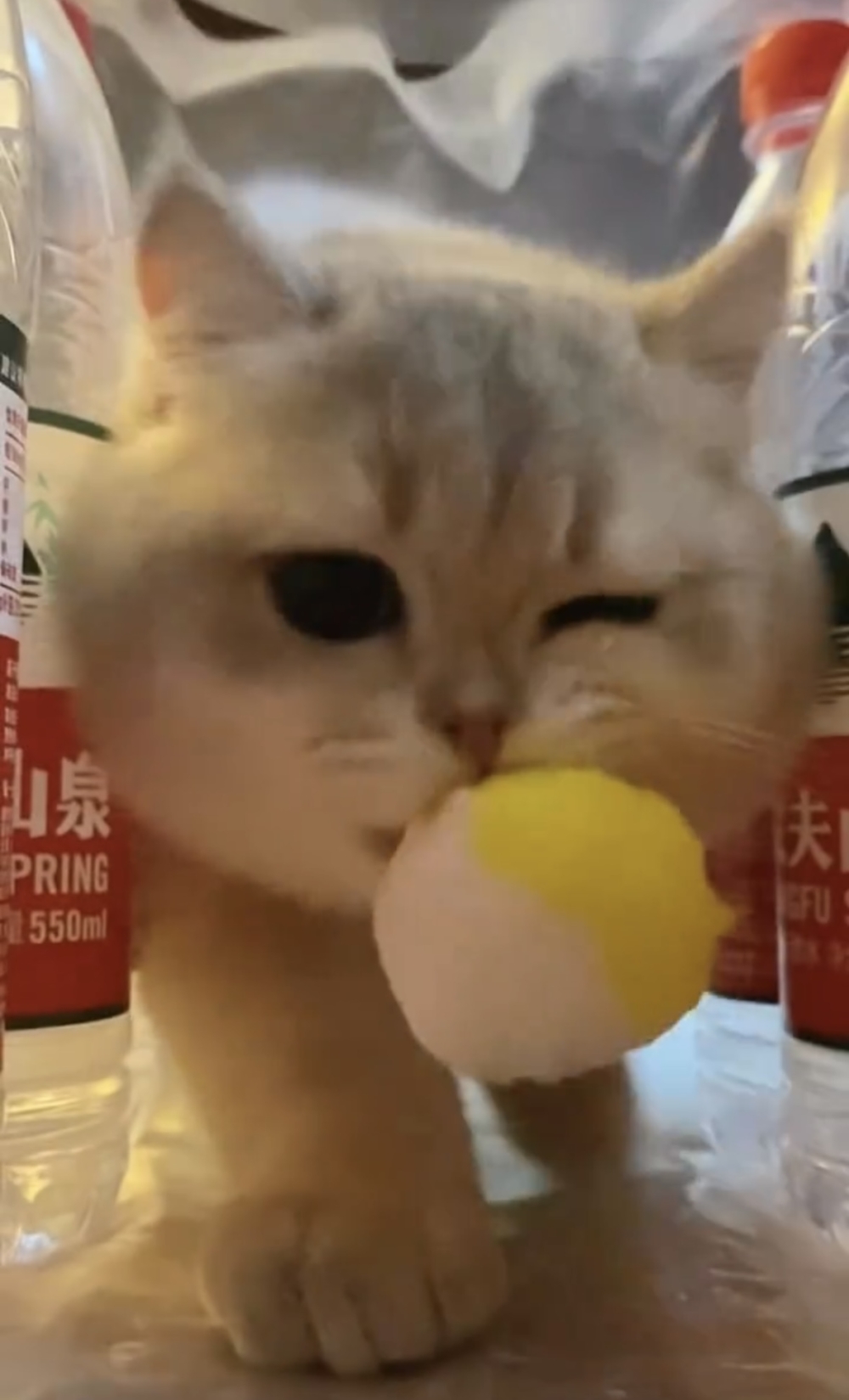 奴才：撈得出來嗎？