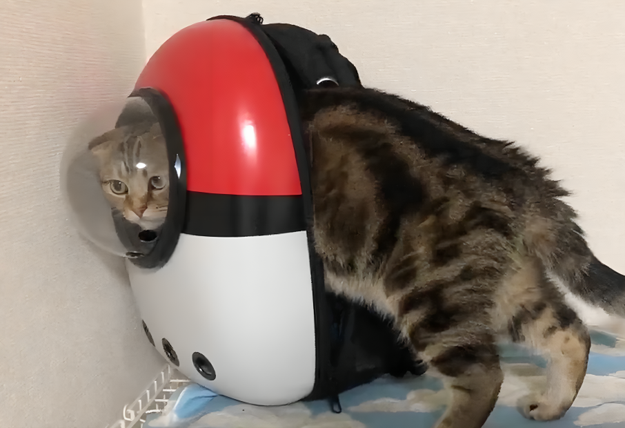 奴才:哇噻!真是萬萬沒想到啊