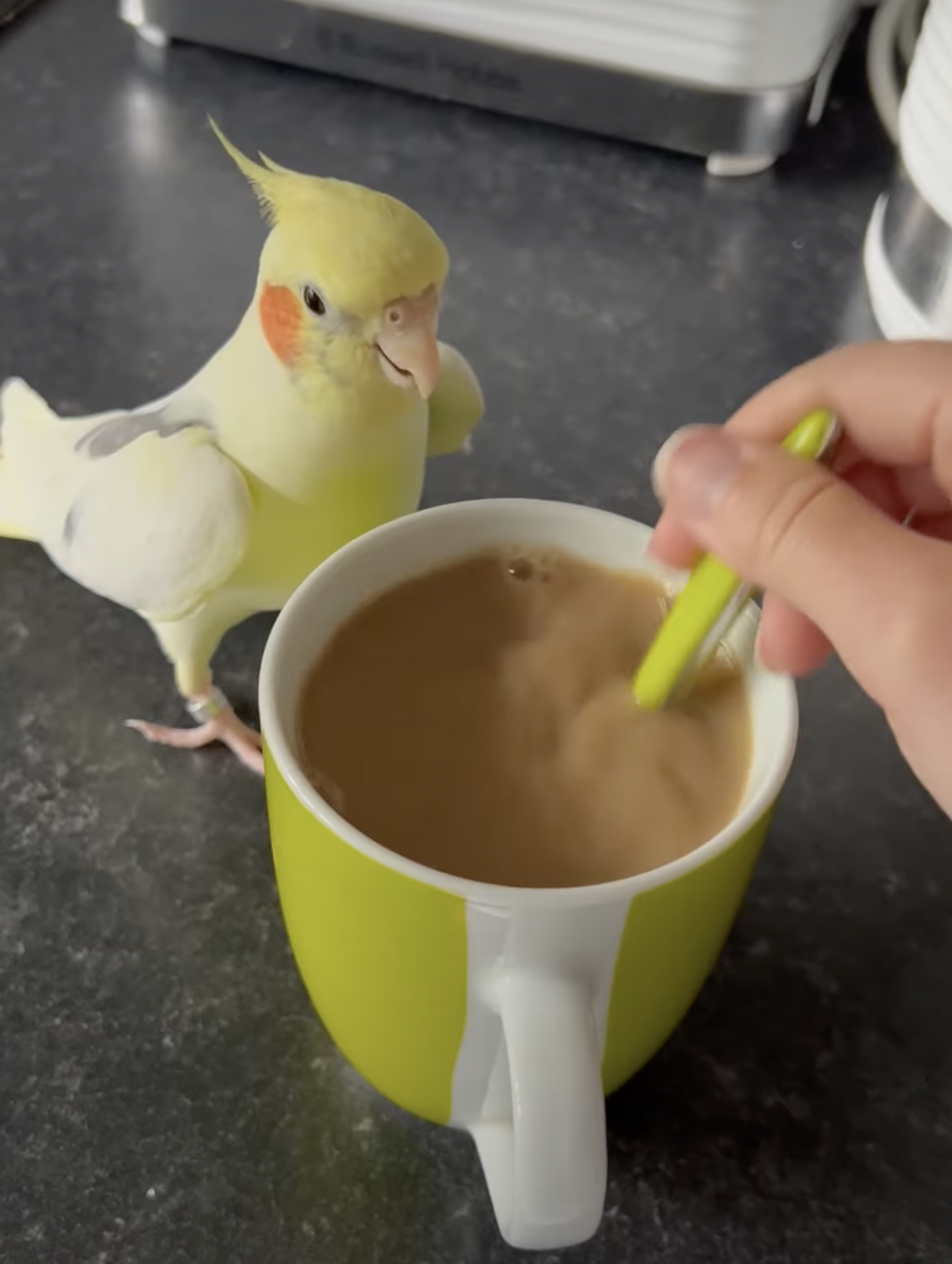 奴才：你是挑戰自己還是考驗我啊？