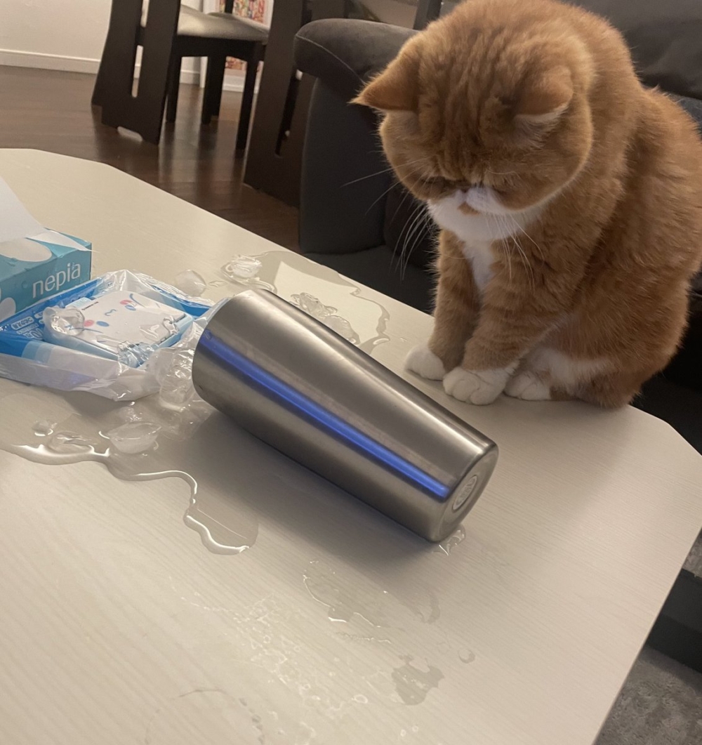 奴才：不會，小事情啦