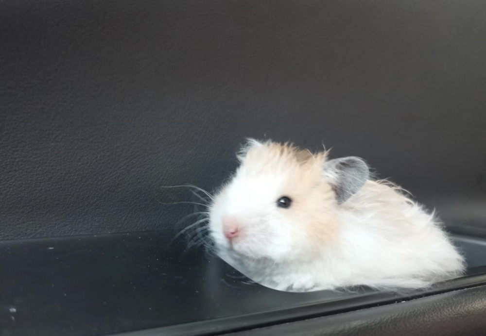 奴才：別自己撐著喔