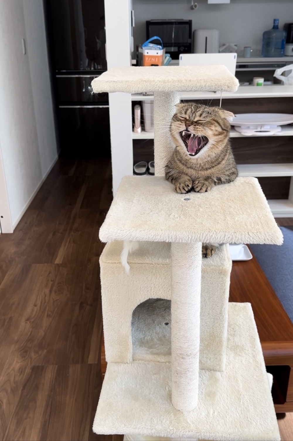 奴才：那就抱歉囉！誤會你了