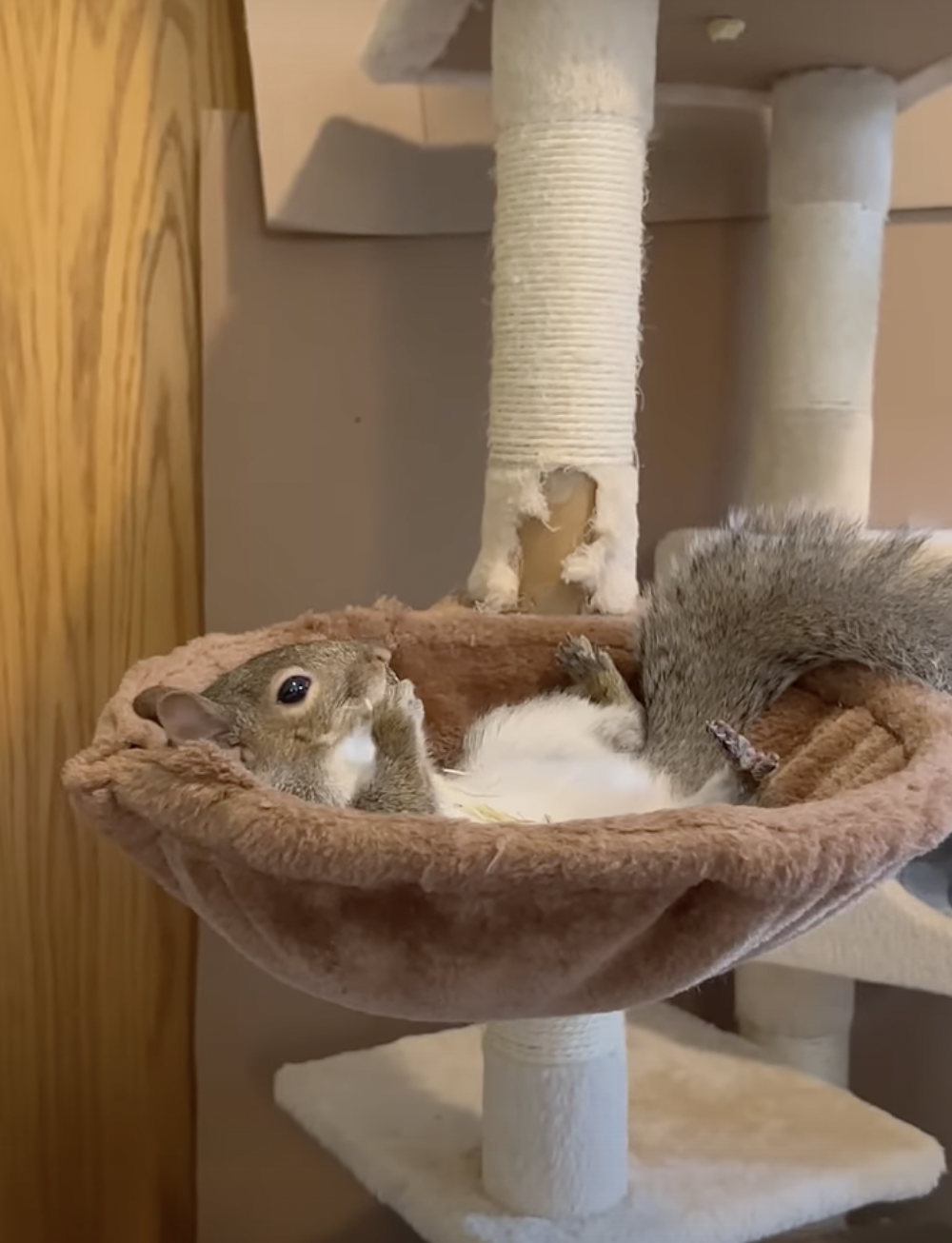 奴才：那就別客氣喔