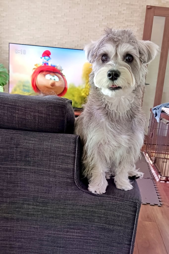 奴才：很高興認識大家啊