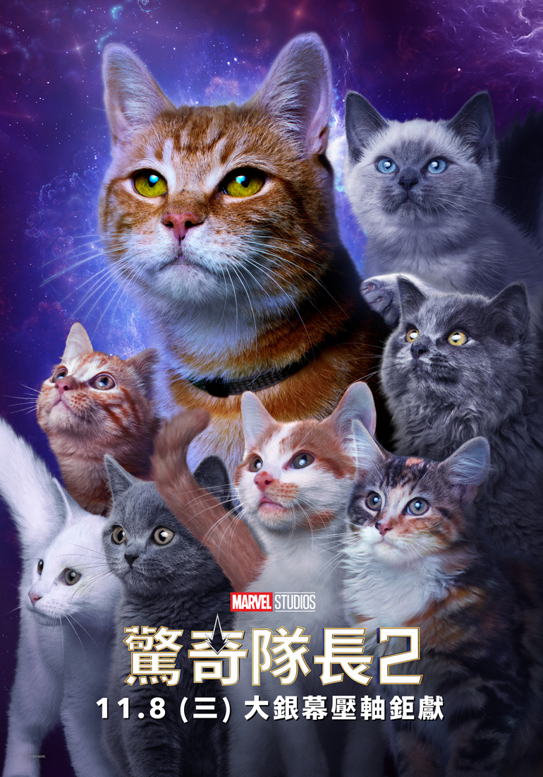 「呆頭鵝」與佛萊肯幼幼貓咪大軍