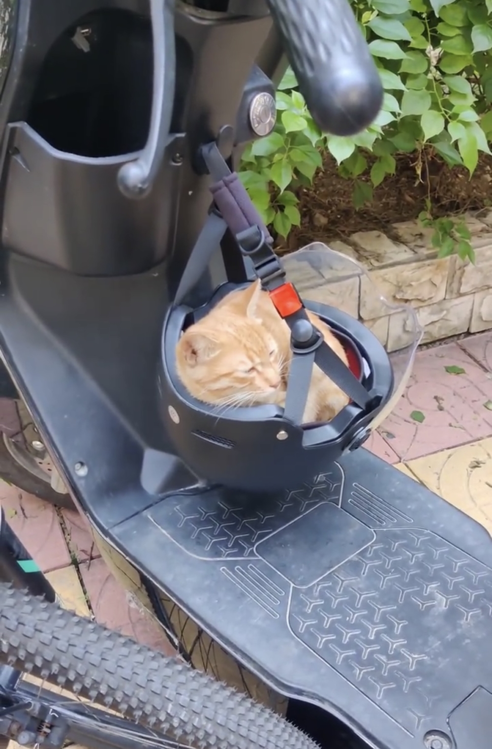 奴才：太貼合了吧