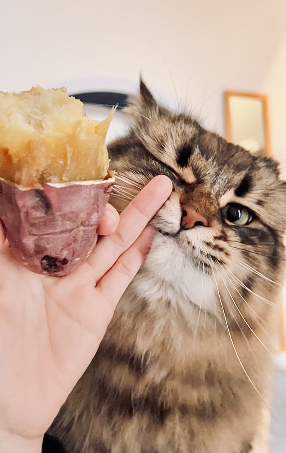 奴才：名副其實的「貪吃大王」捏