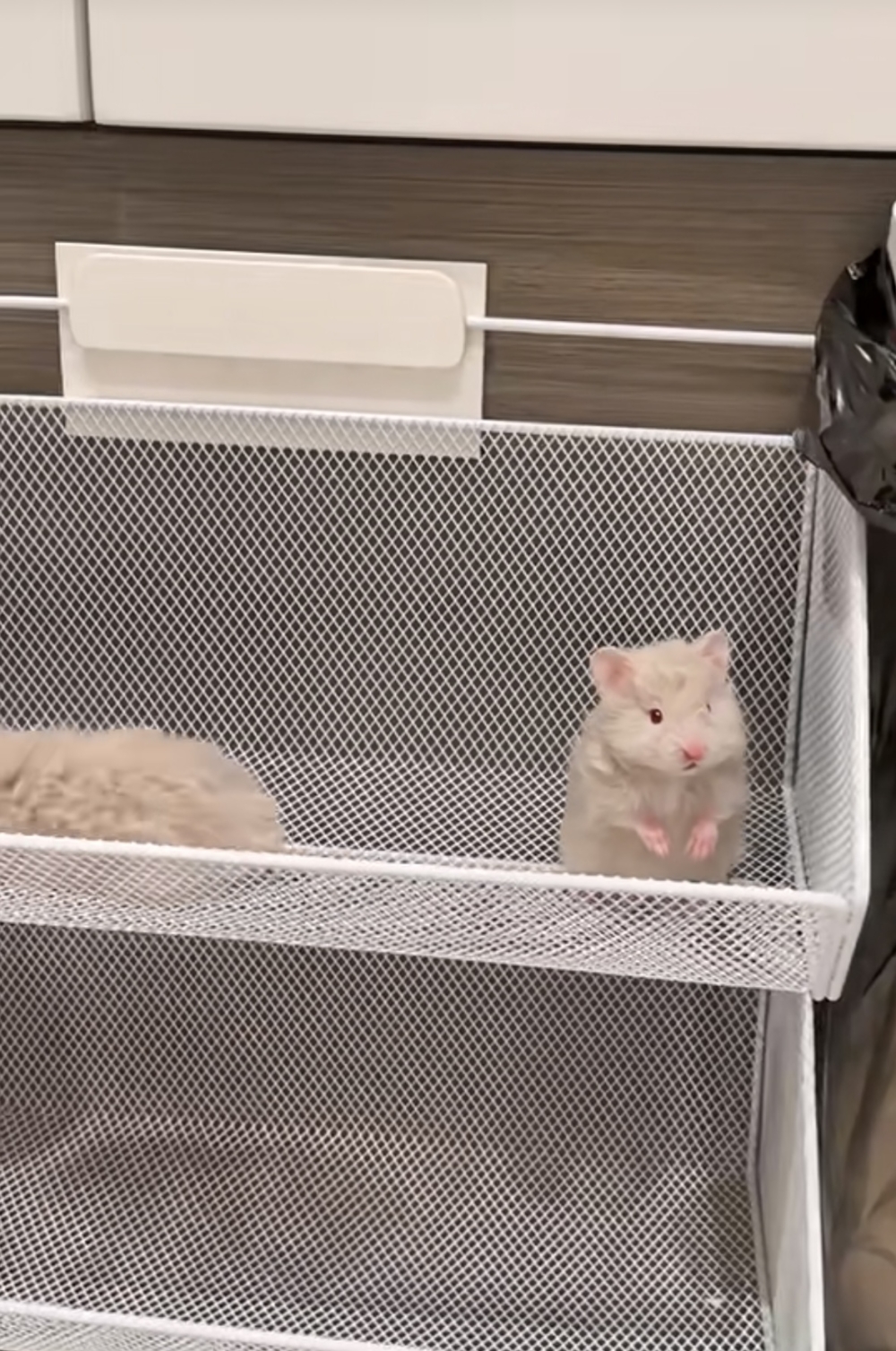 奴才：就你會為自己吹馬屁囉