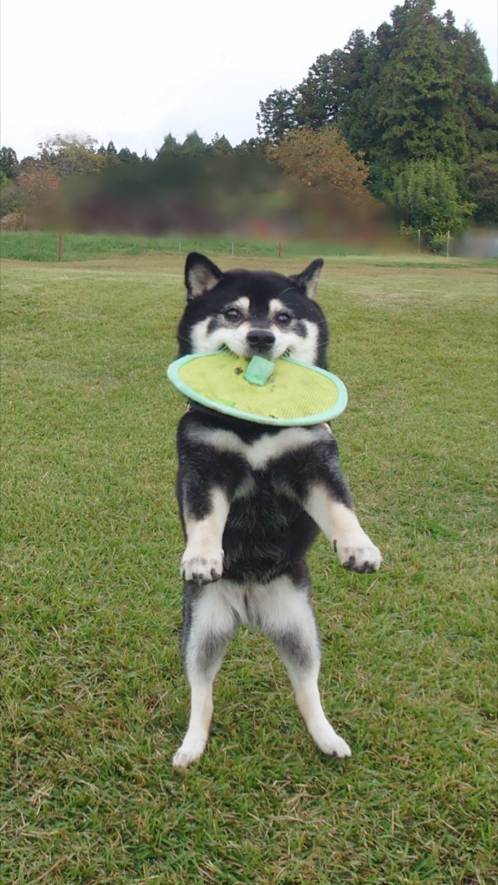 奴才：那你快睡吧