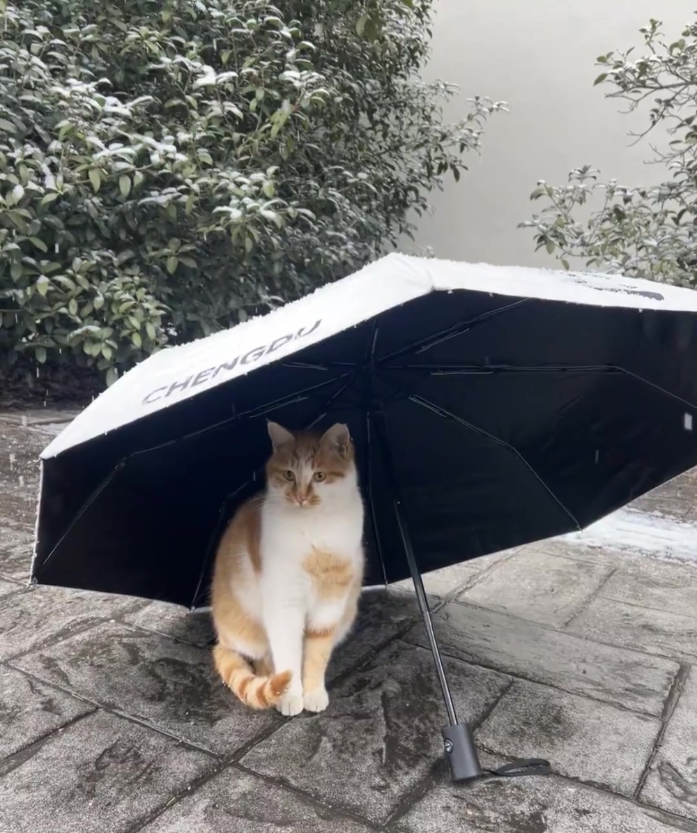 同學：順便給你撐開一把傘吧