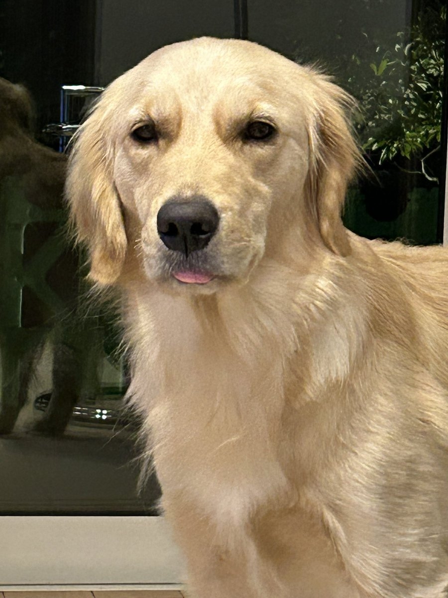 奴才：要煮熟先啊