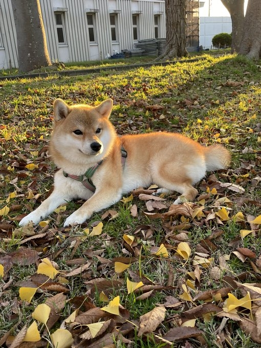 奴才：我都有點怕怕了