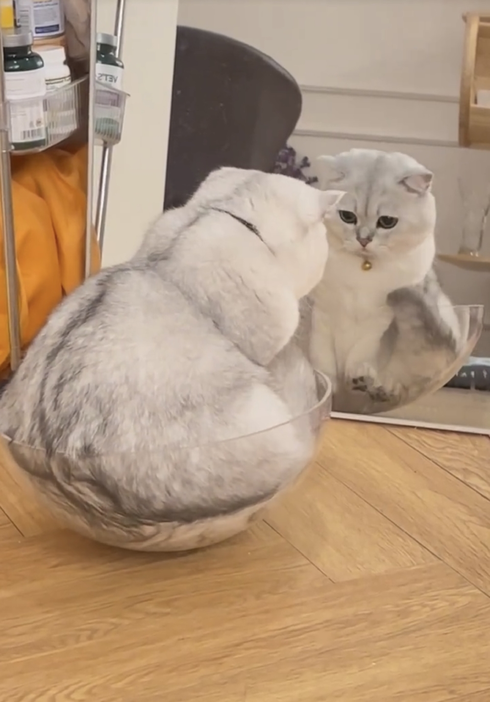 奴才：你真的好喜歡挑戰喔