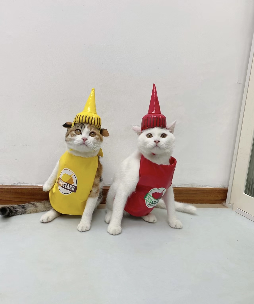 奴才：別為難我啦