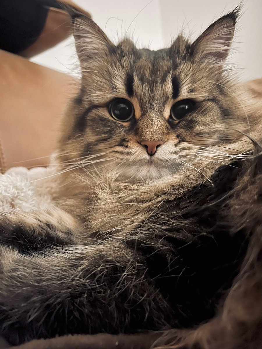 奴才：你等一等啦