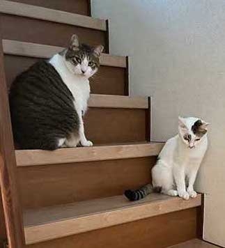 奴才：說到要做到喔