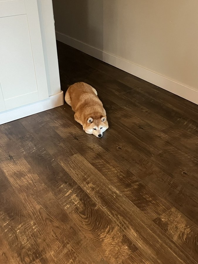 奴才：哇！不至於吧