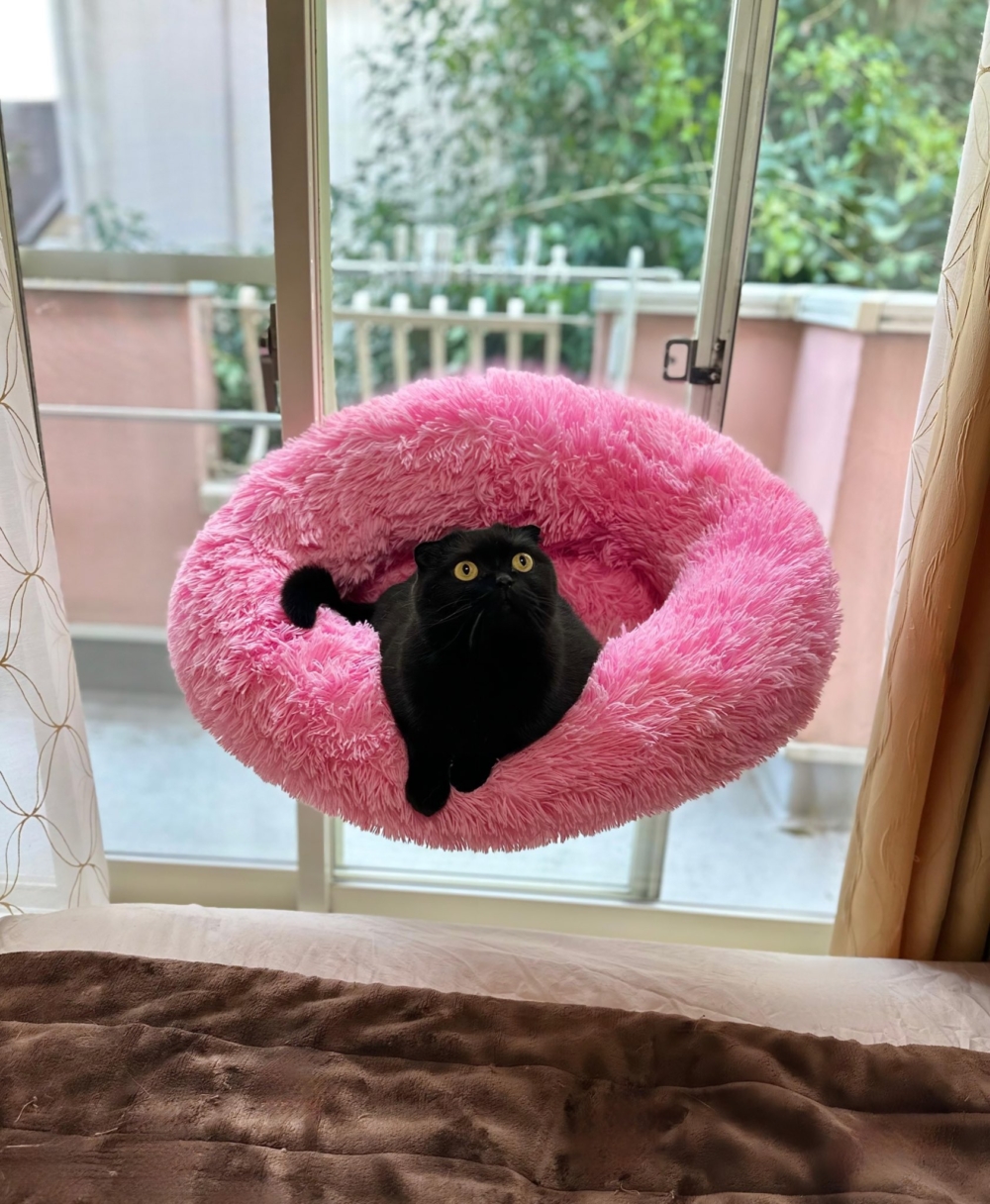 奴才：意外的超搭欸