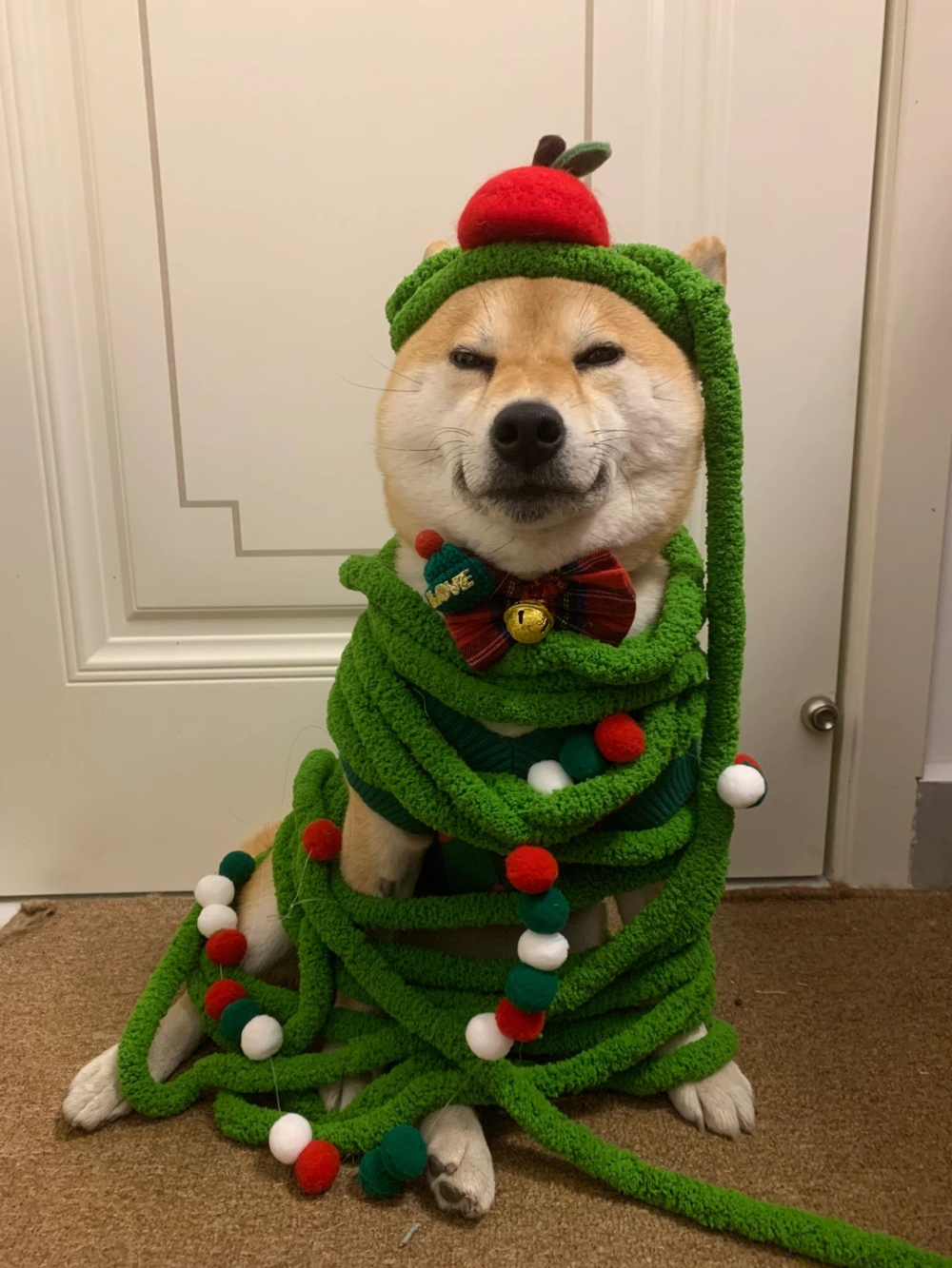 汪：不會啦！奴才 給朕穿什麼都喜歡