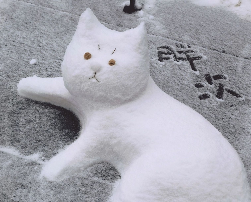 奴才：別小看我啦