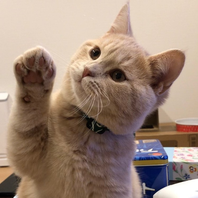 奴才：不是啦！她只是在欣賞一下風景