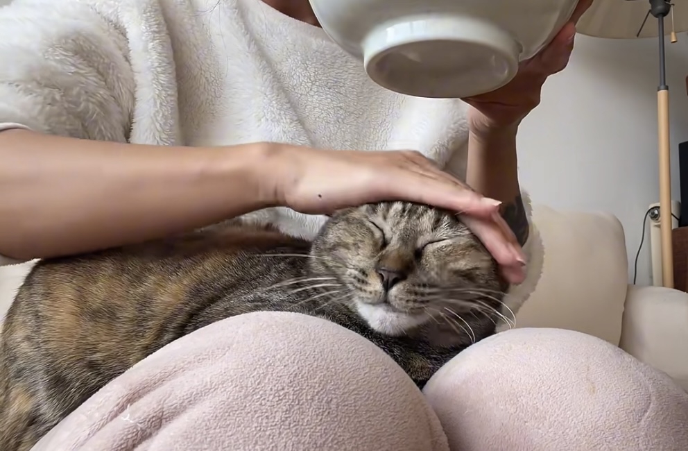 奴才：你別亂動喔