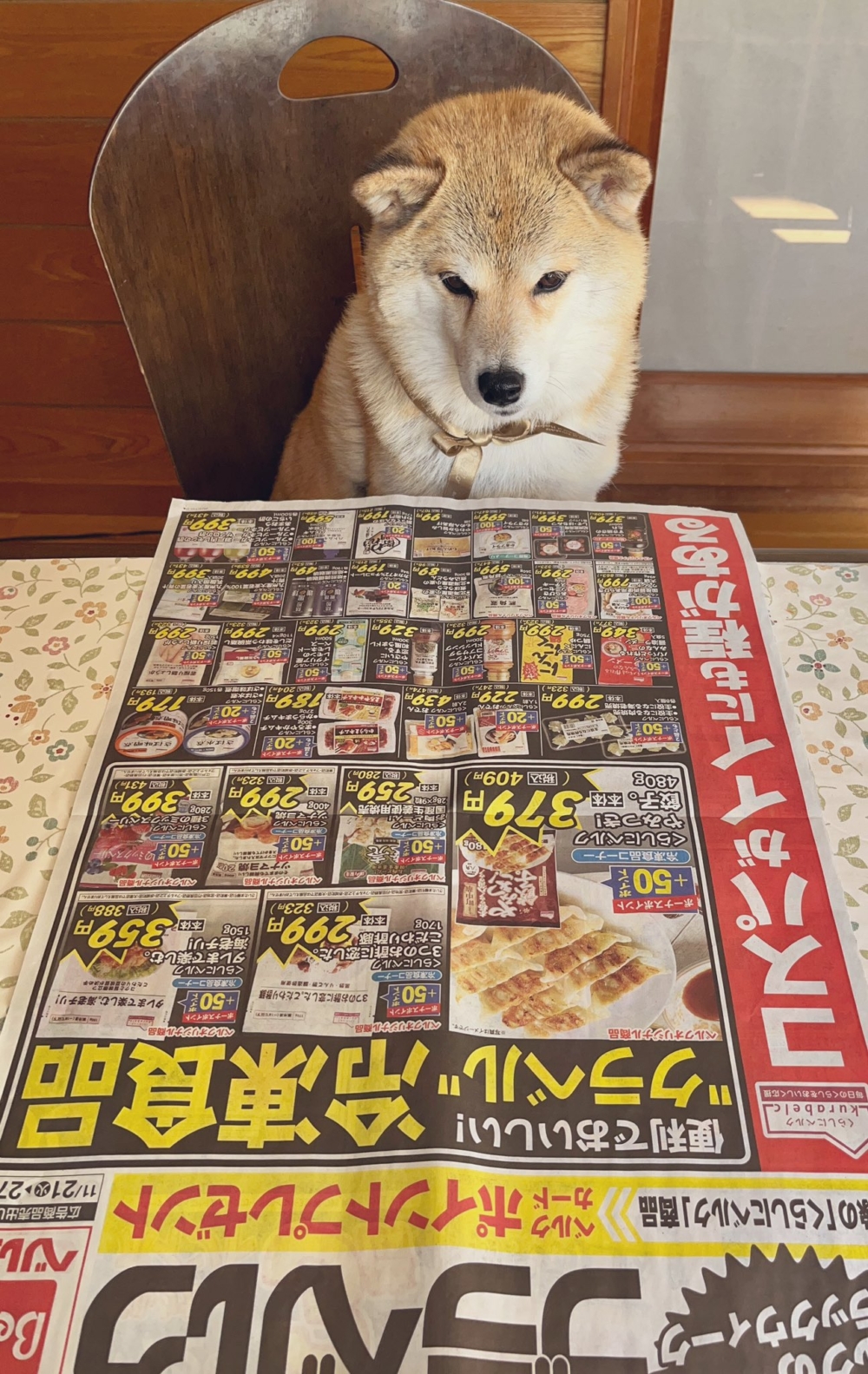 奴才：你別什麼都說喜歡喔