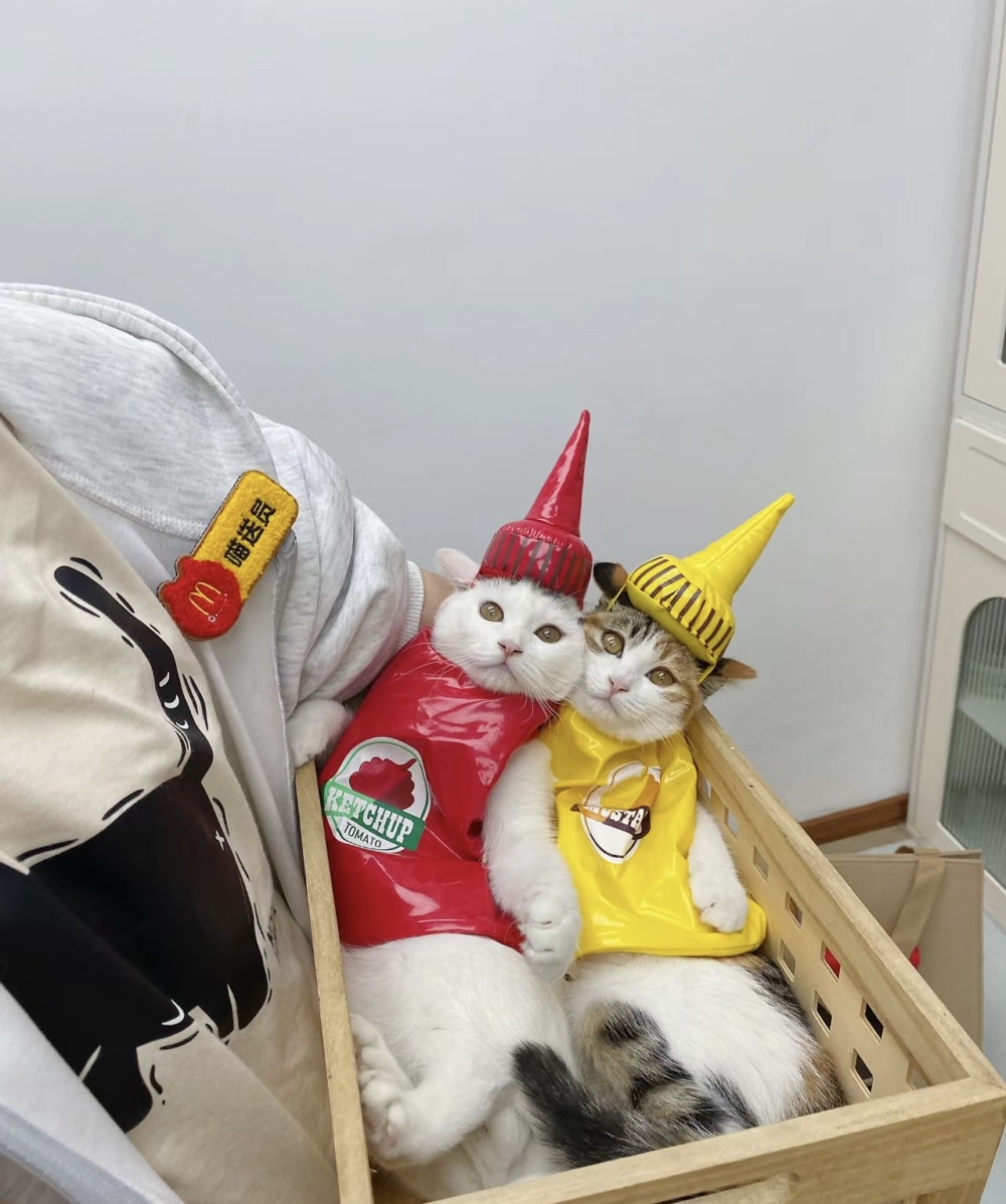 喵：也可以吧～