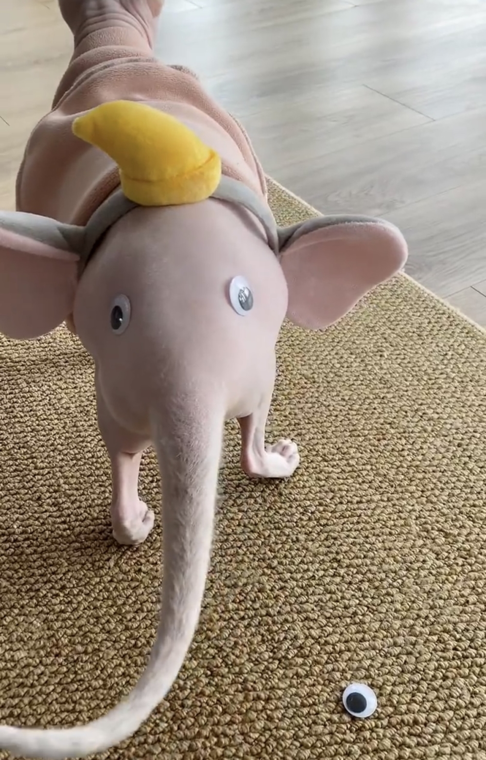 奴才：別這樣啊