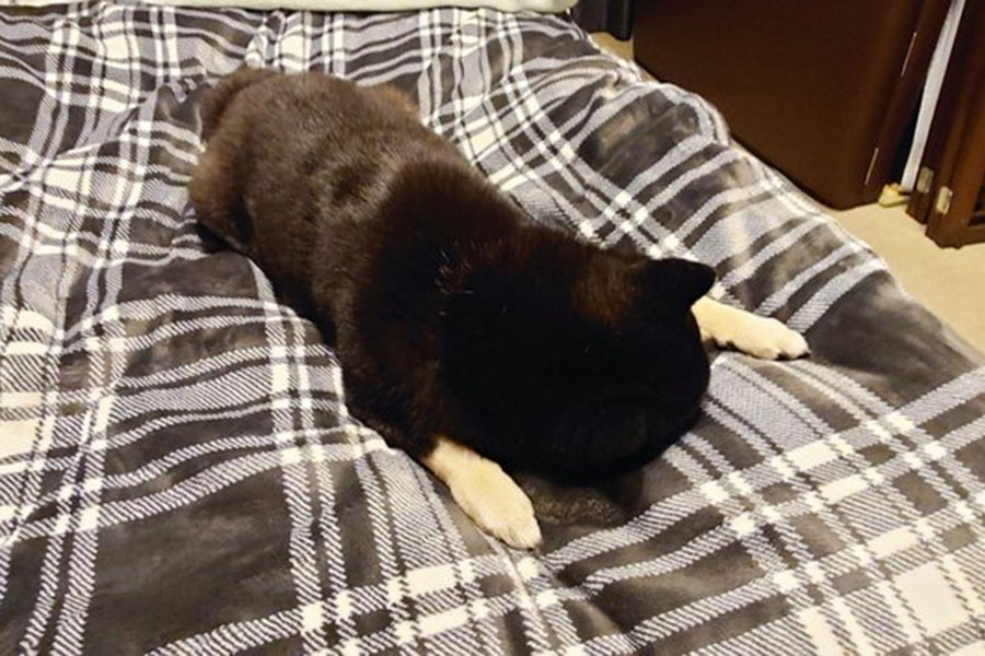 奴才：你會不會太誇張啊