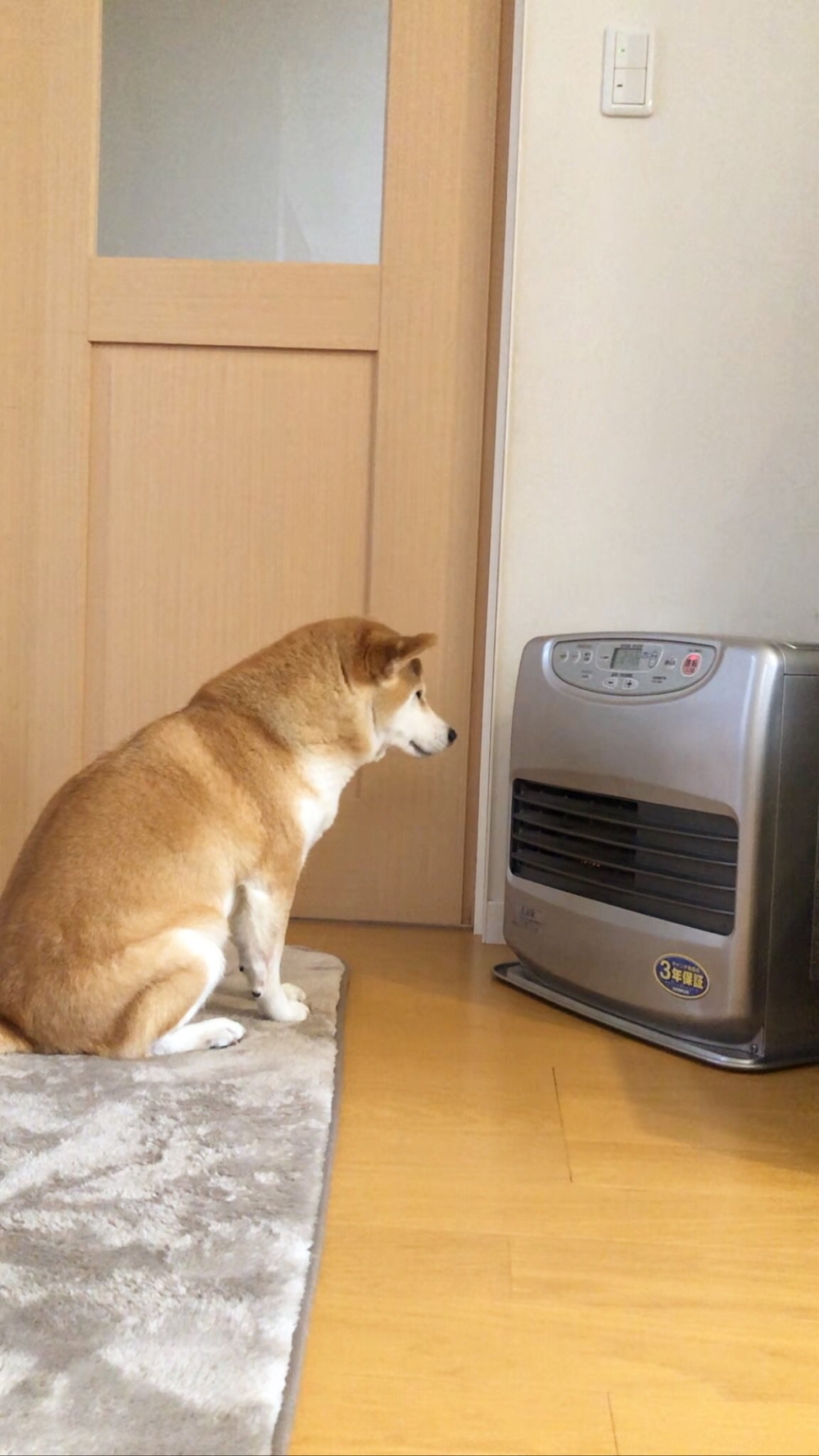 奴才：不去走走嗎？