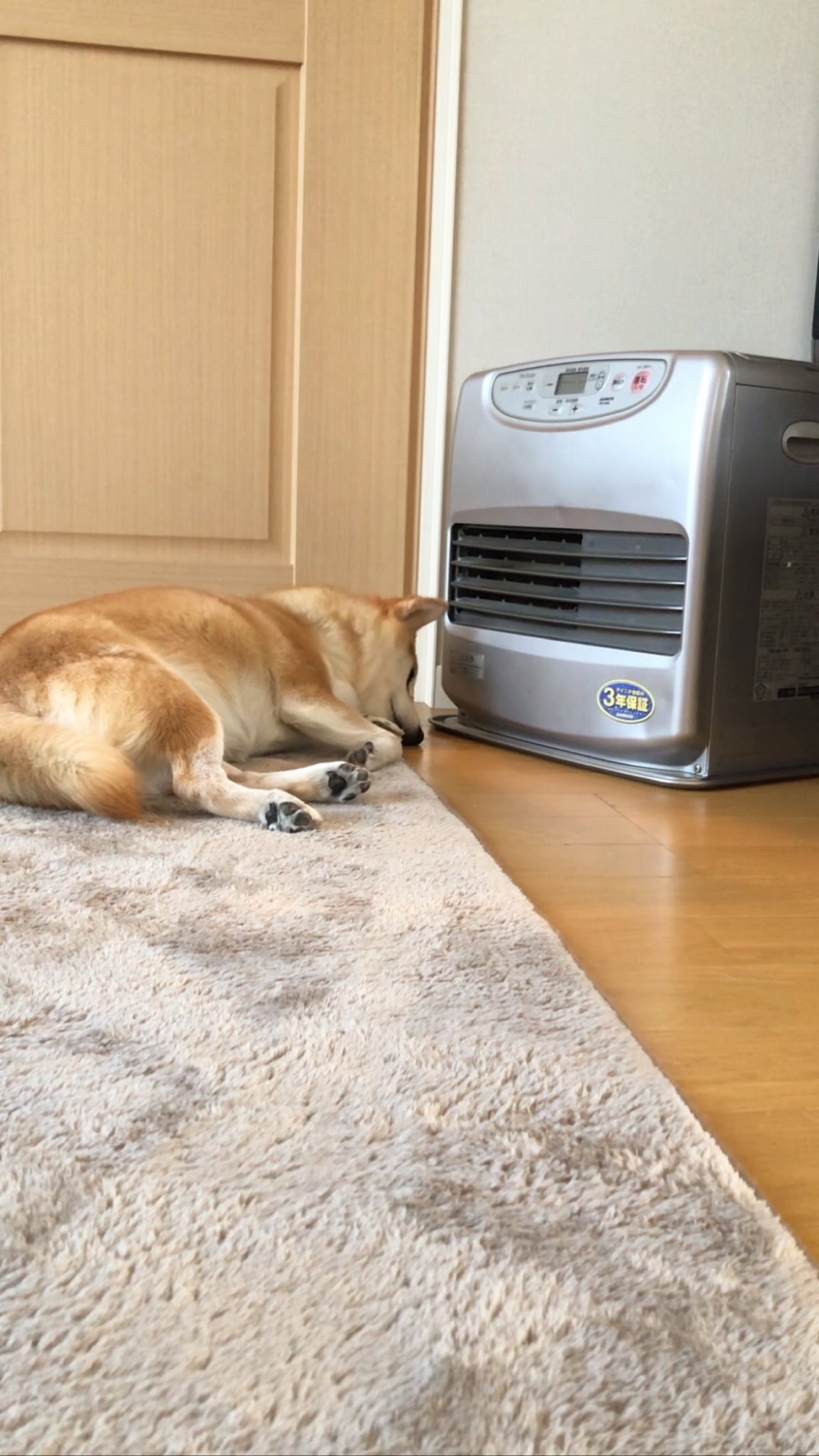 奴才：其實我也沒有很想啦