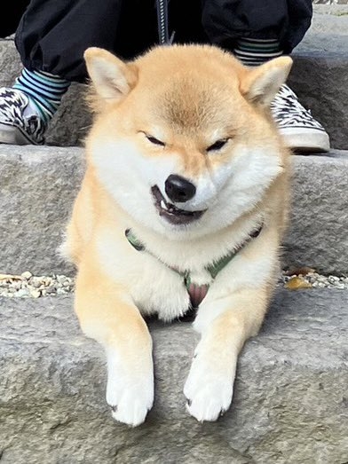 奴才：沒有人敢欺負你啦