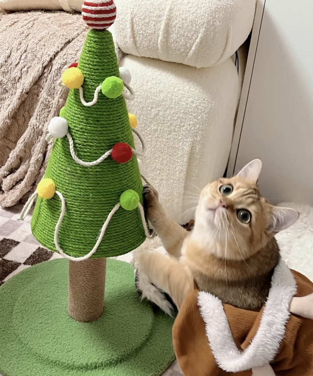 奴才：拭目以待吧～不會讓你失望的