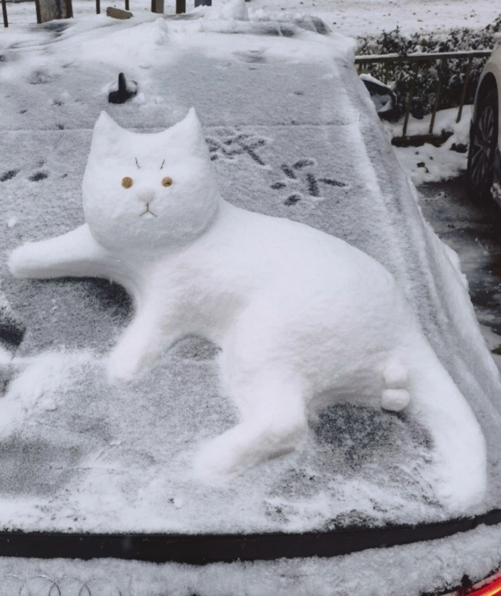 奴才：那是肯定的囉