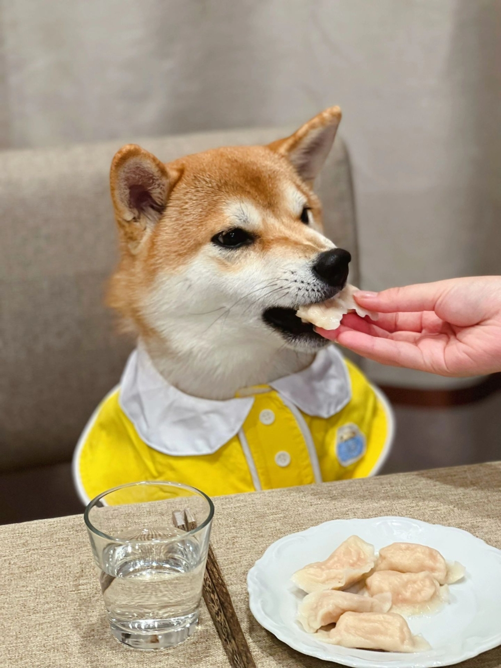 奴才：怎麼可能放棄你啊