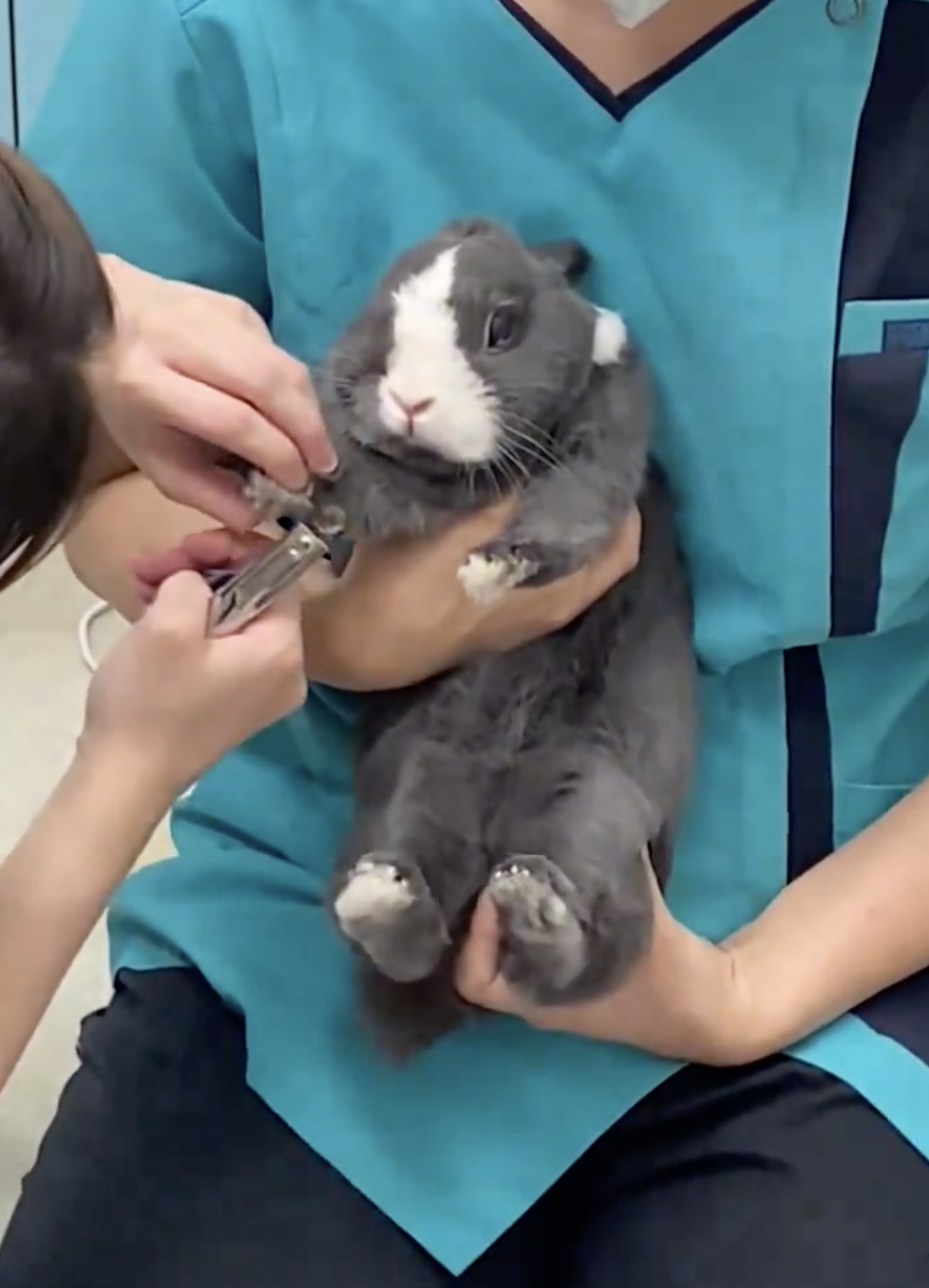 奴才：別害怕，這一點都不恐怖喔