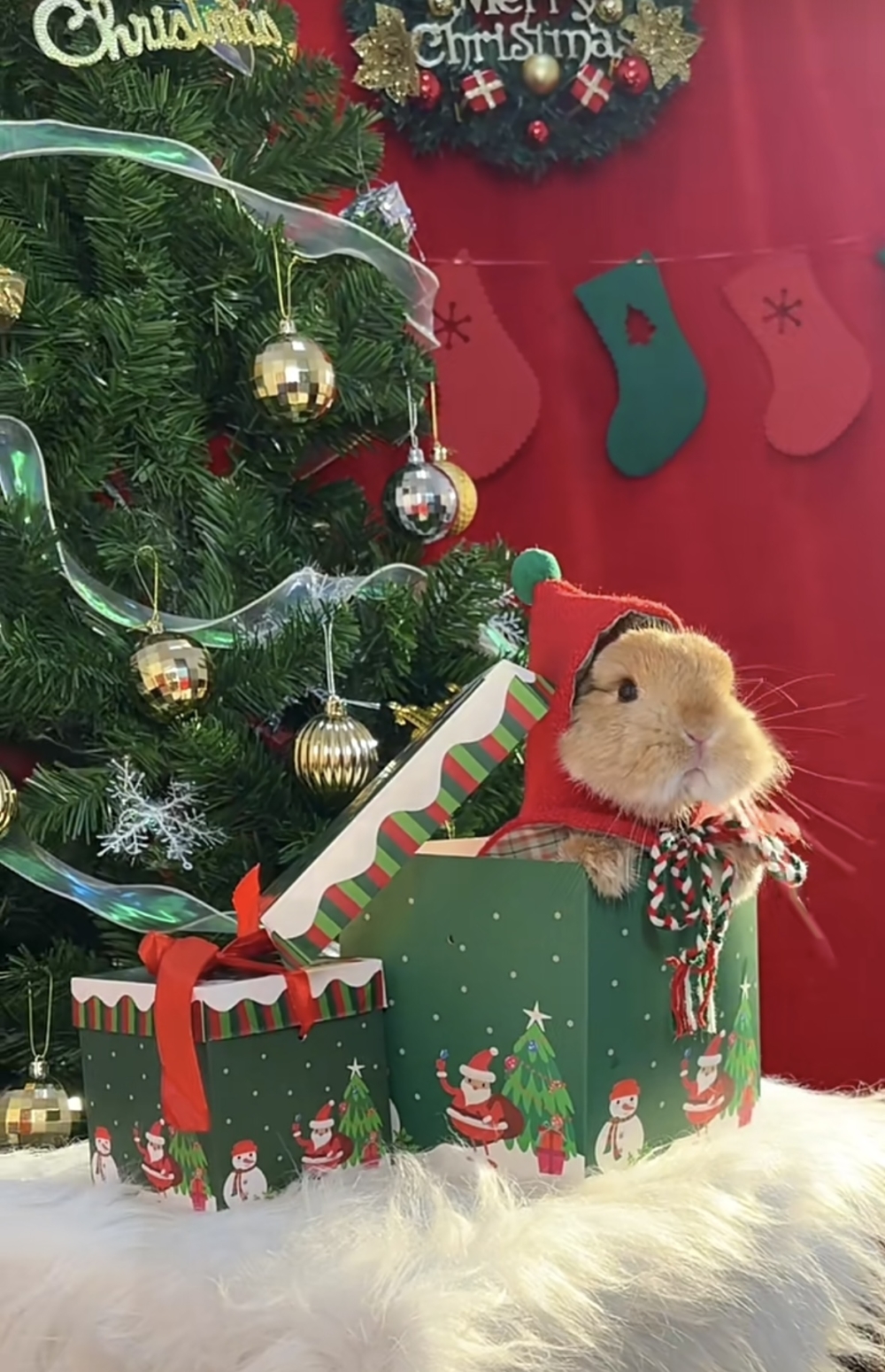 奴才：你果然是天生麗質啊