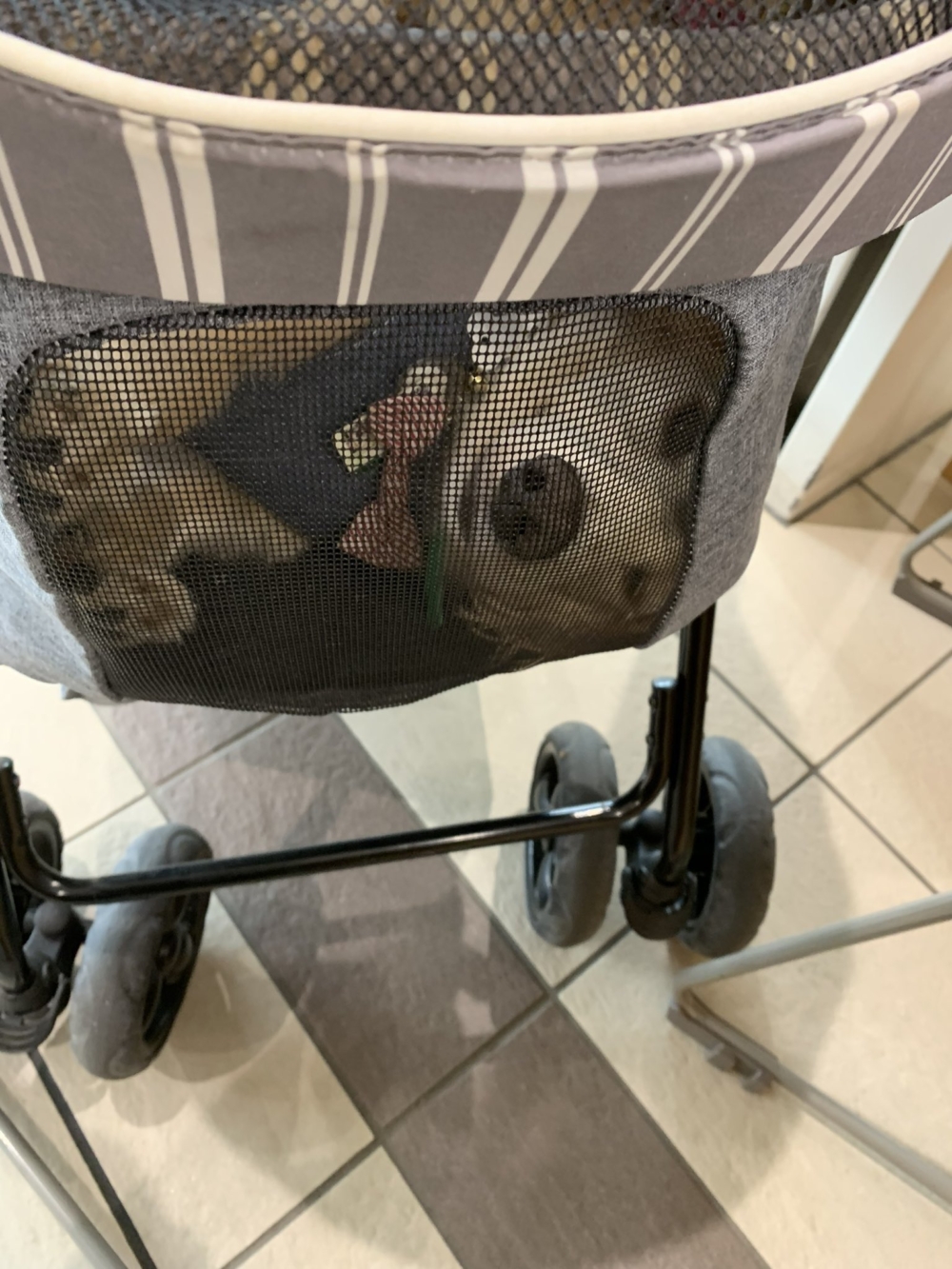 奴才：你嚇到人家了