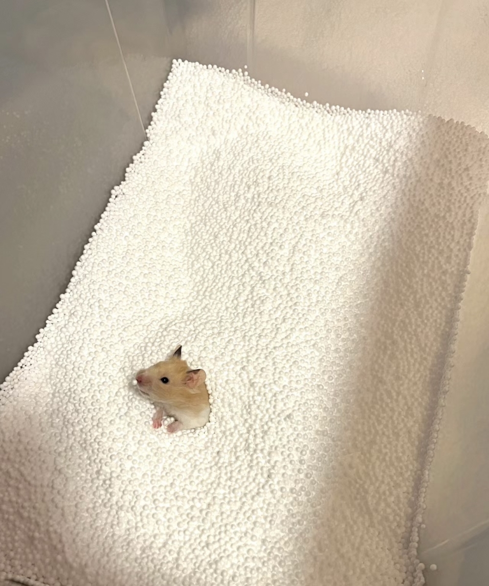 奴才:還是你腦筋轉得快啊