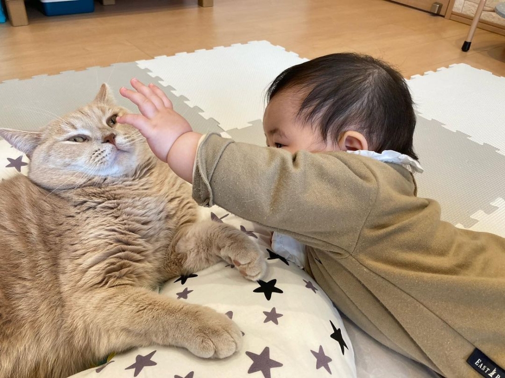 奴才：要用心去欣賞喔