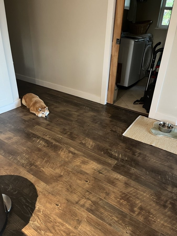 奴才：好吧！我認錯