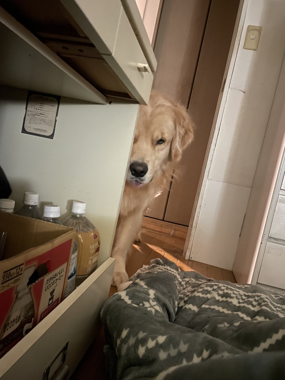 奴才：呀！沒聽見鬧鐘啊