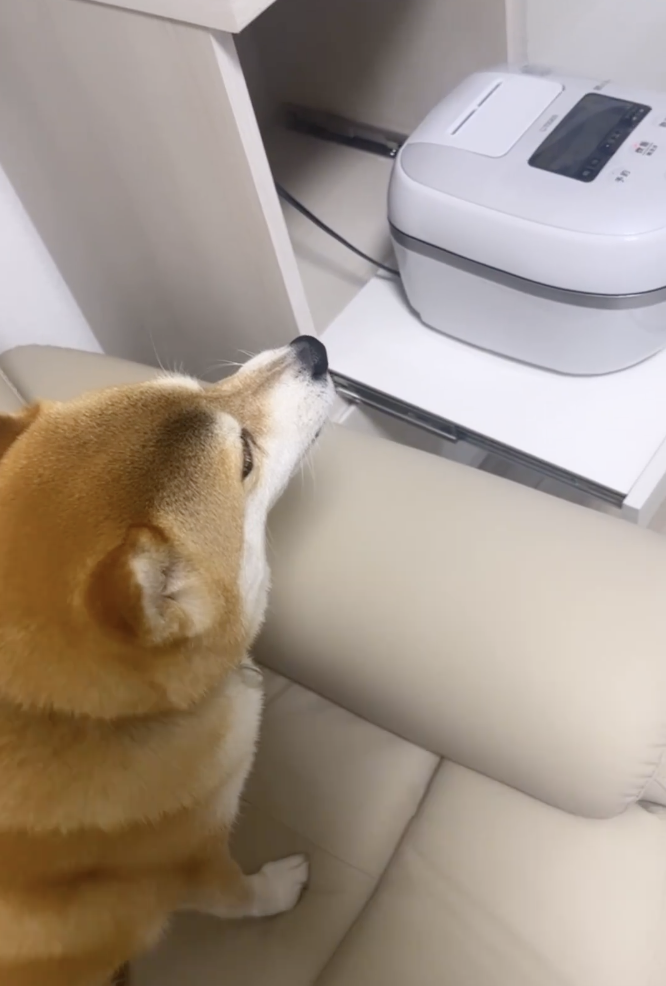 奴才：額... 我應該生氣吧