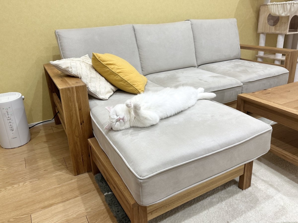 奴才：真會享受啊