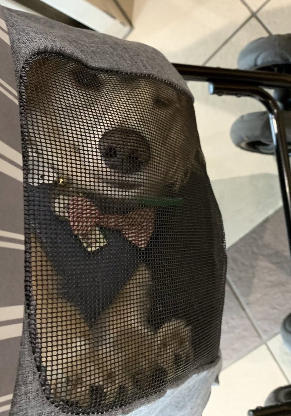 奴才：真會給自己戴高帽欸