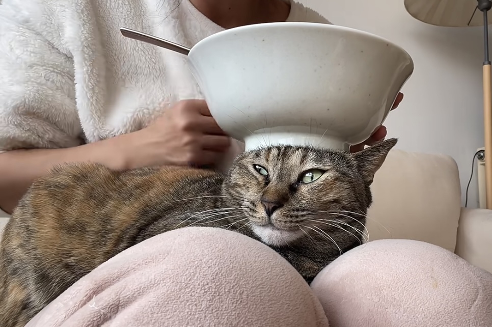 奴才：自己想太多啦